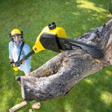 Lawn Pest Prevention in Trion, GA